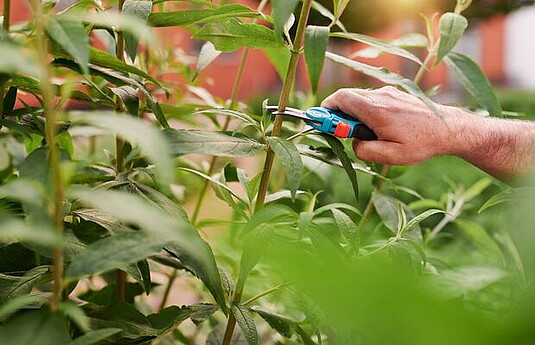 Duimbasisinstabiliteit: waarom je duim pijn kan doen in de zomer